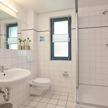 Papillon 13-4 * بولتينهاجين